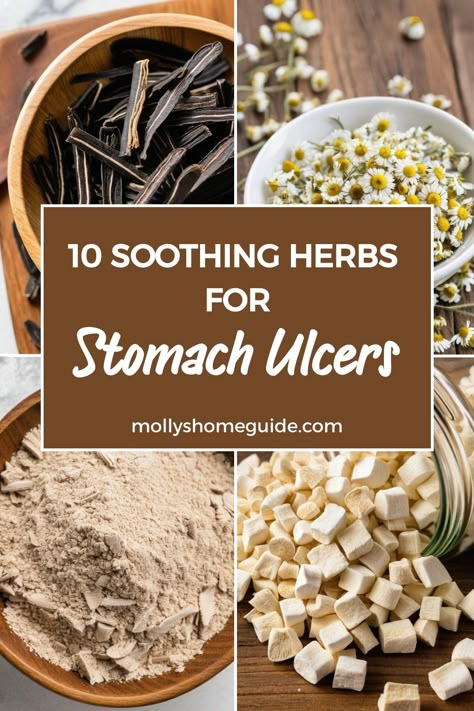 Discover the power of herbal remedies for stomach ulcers with these natural ulcer remedies. Incorporate healing foods like slippery elm and gotu kola into your stomach ulcer diet to support digestive health. These plants not only provide relief but also offer anti-inflammatory properties, making them the best herbs for gut health. Explore the benefits of herbs for stomach ulcers and enhance your well-being with these healing herbs that promote gastric ulcer healing and overall digestive wellness Foods To Heal Ulcers, Ulcer Healing Foods, Foods Good For Stomach Ulcers, Herbs To Heal Stomach Ulcers, Juice For Stomach Ulcers, How To Heal Stomach Ulcers Naturally, Gut Healing Herbs, Best Foods For Stomach Ulcers, Natural Remedies For Ulcers