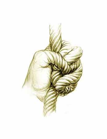 Hand with fingers morphing into rope Surreal Hand Art, Morphing Drawings, Hand Art Projects, Creepy Sketches, Rope Drawing, Metamorphosis Art, Dance Contest, Stippling Art, Ap Studio Art