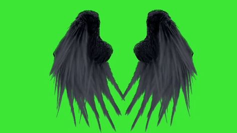 Angel Wings Green Screen, Wings Video, Greenscreen Ideas, Wings Flying, Devil Wings, Black Devil, Green Screen Footage, Feather Wings, Green Screen Backgrounds