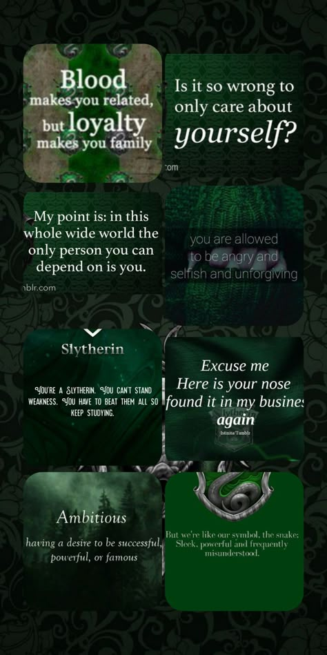 The Slytherin Princess, Slytherin Princess Wallpaper, Slitheryn Quotes, Slytherin Core Aesthetic, Harry Potter Slytherin Wallpapers, Slytherin Motivation, Slytherin Aesthetic Quotes, Slytherin Things To Say, Pureblood Aesthetic