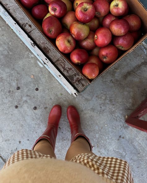 Yearly apple picking tradition in Oak Glen🍎🧺 Oak Glen, Apple Picking