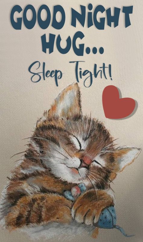 Kitty Good Night Images, Goodnite Quotes, Good Night Cat Images, Beautiful Good Night Images With Quotes, Good Nite, Good Night Gifs Funny, Lekker Slaap, New Good Night Images Gif, Good Night Hug