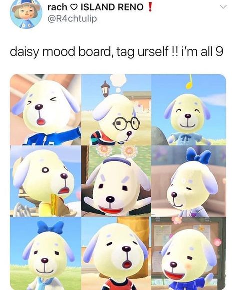 Daisy Animal Crossing, Animal Crossing Dog, Studio Ghibli Crafts, Unorganized Idea, Animal Crossing Fan Art, Animal Crossing Memes, Animal Crossing Characters, Animal Crossing Villagers, Animal Crossing Qr