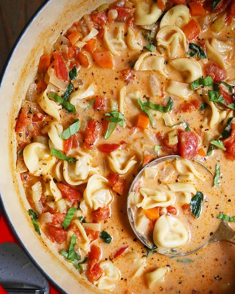 Creamy Tomato Cheese Tortellini Soup Tortellini Pasta Soup Crock Pot, Tortellini Creamy Soup, Tortellini Crock Pot Soup, Italian Cheese Tortellini Soup, Cheese Tortilini Soup Recipe, Crockpot Tortellini Soup Vegetarian, Vegetarian Tortellini Soup Recipes, Crock Pot Soup Tortellini, Cheese Tortellini Soup Vegetarian