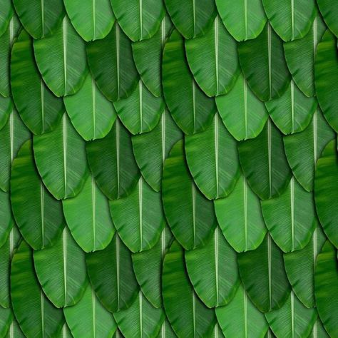 (1) WhatsApp Banana Leaf Background, Ganesha Pooja, Pooja Backdrop, Leaves Backdrop, Banana Leaf Decor, Baby Cartoon Characters, Pooja Decor, Banana Leaf Wallpaper, Ganpati Decoration Design