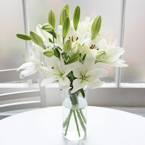 Lillie’s In A Vase, White Lily Flower Arrangements, Lilly Flower Arrangements, Letterbox Flowers, Tulips Arrangement, Lilly Flower, Flowers In Jars, Wallpaper Flower, Flower Vase Arrangements