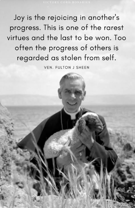 Saints Quotes, Fulton Sheen, Traditional Catholicism, Catholic Beliefs, Saint Quotes Catholic, Soli Deo Gloria, Saint Quotes, Catholic Quotes, Christian Memes