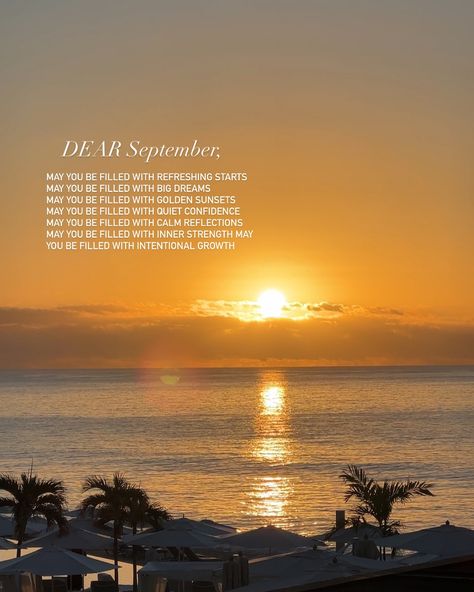 Dear september, MAY YOU BE FILLED WITH REFRESHING STARTS MAY YOU BE FILLED WITH BIG DREAMS MAY YOU BE FILLED WITH GOLDEN SUNSETS MAY YOU BE FILLED WITH QUIET CONFIDENCE MAY YOU BE FILLED WITH CALM REFLECTIONS MAY YOU BE FILLED WITH INNER STRENGTH MAY YOU BE FILLED WITH INTENTIONAL GROWTH. If you came here from reels Hi, I’m Falak! 🥰 I’m from the Maldives now based in Louisville KY. I share my travels to inspire you get outdoors and to reflect within. I’m also a big introvert who loves ... Dear September, Quiet Confidence, The Maldives, Big Dreams, Get Outdoors, Louisville Ky, Inner Strength, Maldives, Dream Big