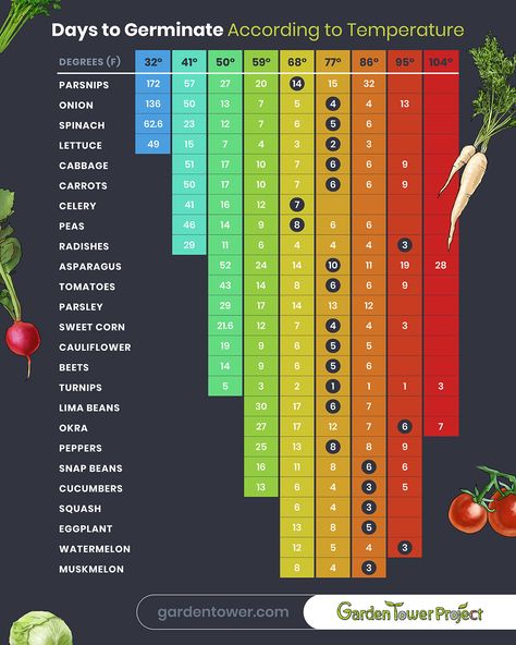 Plant Germination Chart, Zone 7-8 Planting Schedule, Zone 11 Vegetable Gardening, Fall Planting Vegetables Zone 7, Zone 9 Fall Vegetable Garden, Zone 5b Planting Schedule, Zone 4b Gardening, Zone 9 Planting Schedule Flowers, Zone 8b Vegetable Gardening