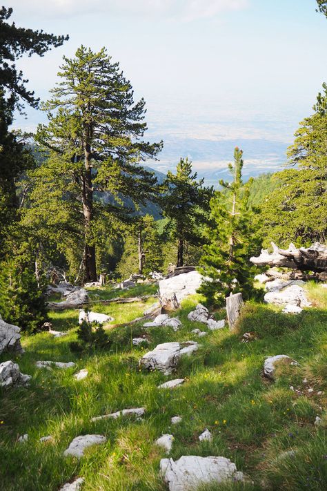 Greek Landscape, Mount Olympus Aesthetic, Mount Olympus Concept Art, Mount Olympus Art, Mt Olympus Greek Mythology, Mount Lycabettus Athens, Mt Olympus Greece, Mount Olympus Greece, Hiking Mount Olympus Greece