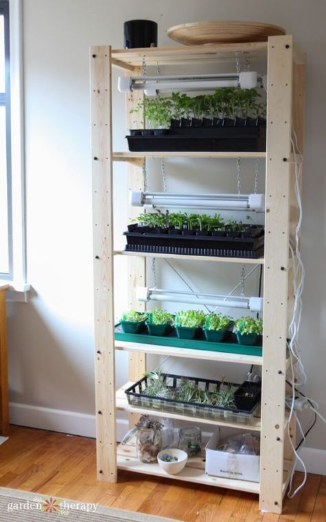 Seed Starting Indoors Diy, Seed Starting Indoors, Seed Starting Containers, Indoor Vegetables, نباتات منزلية, Indoor Greenhouse, Starting Seeds Indoors, Indoor Vegetable Gardening, Have Inspiration