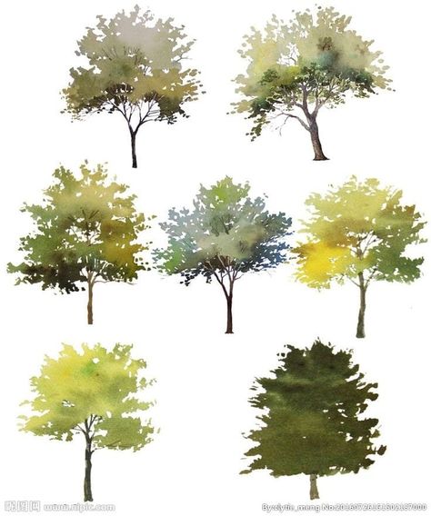 Collage Architecture, Landscape Architecture Graphics, Tree Photoshop, Tree Watercolor Painting, Tree Watercolor, Watercolor Blog, Tree Sketches, Architecture Collage, Seni Dan Kraf