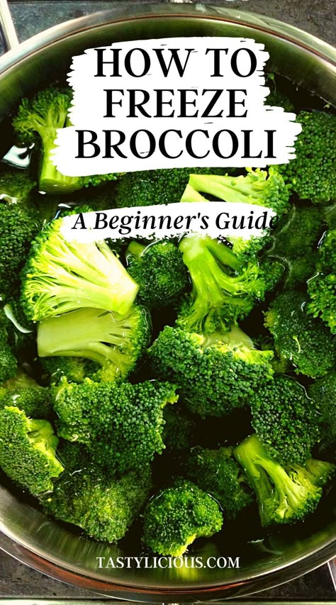 Freeze Broccoli, Broccoli Freezer Recipes, Freezer Broccoli, How To Blanch Broccoli, Blanch Broccoli, Freeze Broccoli How To, How To Freeze Broccoli Without Blanching, Freezing Broccoli Without Blanching, Freezing Fresh Broccoli