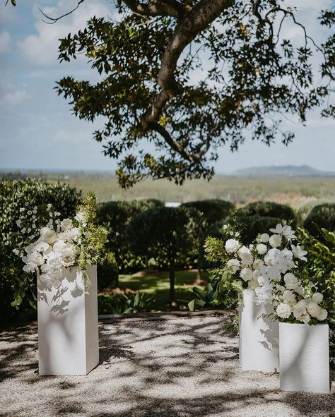 All posts • Instagram Fig Tree Restaurant, Golf Club Wedding Decor, Summer Wedding Aesthetic, Wedding Ceremony Florals, 2025 Design, Floral Ceremony, Tree Restaurant, Wedding Isles, Simple Wedding Flowers