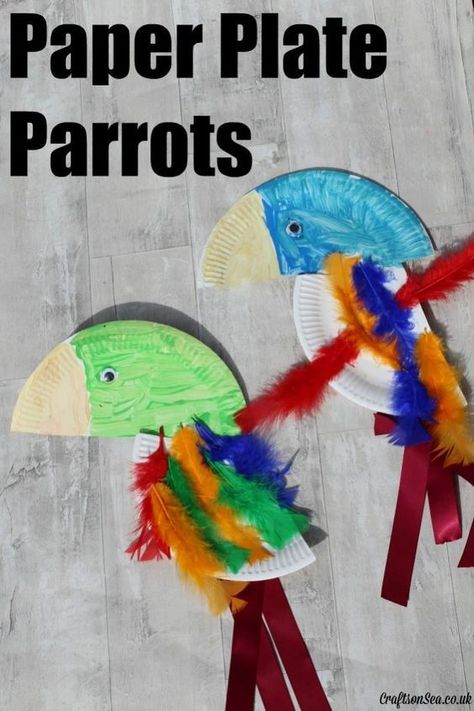 These fun paper plate parrots are a simple craft that's suitable for kids of all ages. Simple birds that are perfect for preschoolers.: Pirate Storytime, Jungle Library, Pirate Preschool, Parrot Craft, Pirate Activities, Pirate Crafts, Pirate Art, Pirate Day, Paper Plate Crafts