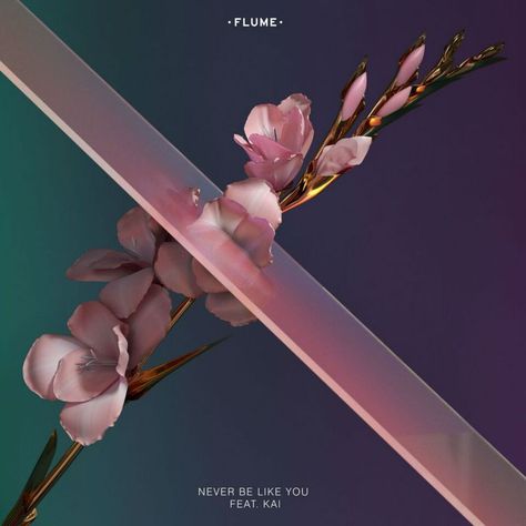 Never Be Like You by Flume Yours Lyrics, Music Album Covers, Album Cover Design, Album Cover Art, Music Covers, Music Album, Digital Music, Album Art, Electronic Music