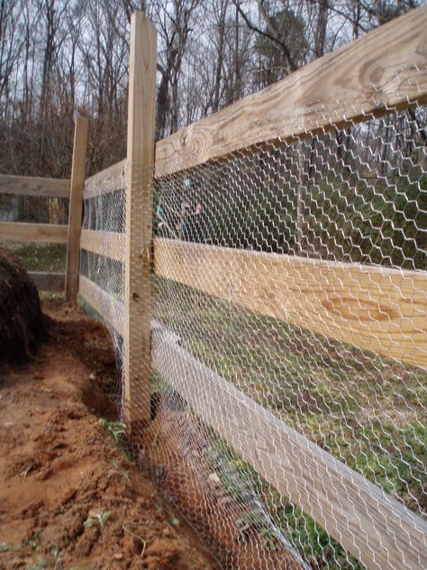 chicken wire fence ideas | Posted by Matthew Bush at 3:03 PM Fence With Chicken Wire, Wire Garden Fence, Cheap Winter Vacations, Rabbit Fence, Goat Fence, Cheap Dog Kennels, Build A Fence, Chicken Wire Fence, Chicken Fence