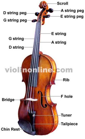 Violin Basics - Interactive fingering charts Violin Teaching, Violin Practice, Violin Parts, Violin Art, Learn Violin, Violin Lessons, Violin Sheet, Violin Sheet Music, Mad World