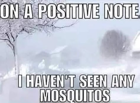 By nature, my attitude tries to find the good in bad situations. So Texas winter memes 2021 for laughter and good news - we haven't seen any mosquitos... yet. Cold Humor, Cold Weather Funny, Winter Jokes, Texas Aesthetic, Snow Quotes, Winter Humor, Snow Humor, Weather Memes, Texas Humor