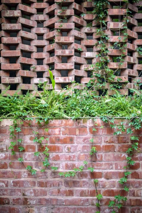 Gallery of Teach for Bangladesh Office Building / Studio Dhaka - 5 Bengali Architecture, Brick Wall Gardens, Hub Design, Brick Planter, Bangladesh Travel, Brick Face, Black Brick Wall, Architecture Garden, Community Hub