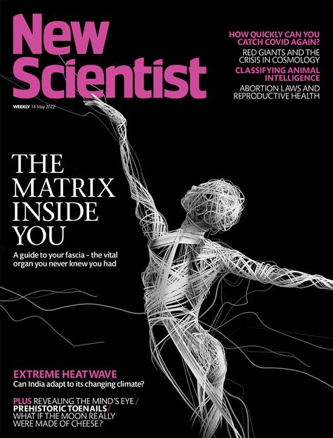 New Scientist - magazine cover. on Behance New Scientist Magazine, New Scientist Magazine Covers, Scientific Magazine, Classifying Animals, Animal Intelligence, Magazine Cover Ideas, Publishing Design, Technology Posters, Pop Magazine