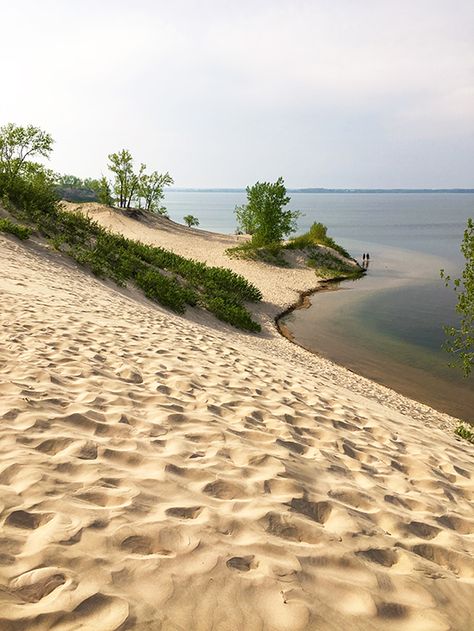 There's nowhere in Ontario like this. These dunes at Sandbanks Provincial Park reach up to 25 m high and the sand is like velvet to the feet. Find out what else to see and do Prince Edward County. Sandbanks Provincial Park, African Desert, Prince Edward County Ontario, Ontario Road Trip, Beach Caribbean, Ontario Travel, Canada Eh, Caribbean Beach, Prince Edward County