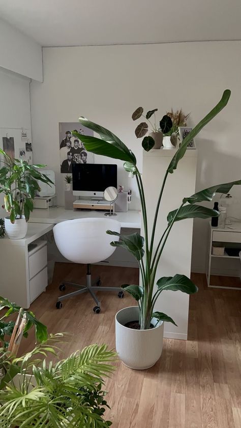 2023 plant room decoration and a desk decorated with plants and kpop details Kpop Details, Plant Room, Teenage Room, Future Apartment Decor, Pinterest Room Decor, Minimalist Room, Dreamy Room, Room With Plants, Room Design Bedroom