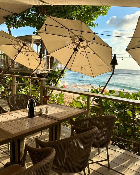 Beachfront restaurants in Barbados 🐠 We enjoyed the food in Barbados and the variety of beachfront bars and restaurants. The following are three of our favourite places to eat in Barbados, located along the West coast north of Bridgetown 🥘 All are easy to book ahead online; 1️⃣2️⃣3️⃣ Sea Shed - relaxed atmosphere, overlooking the beach, great food (pictured: one of the favourites, the char grilled octopus) and a beautiful spot to watch the sunset 🌅 @seashed_barbados 4️⃣5️⃣6️⃣ The Tides - l... Grilled Octopus, Watch The Sunset, Bars And Restaurants, Bridgetown, Great Food, Barbados, The Sunset, Places To Eat, Food Pictures