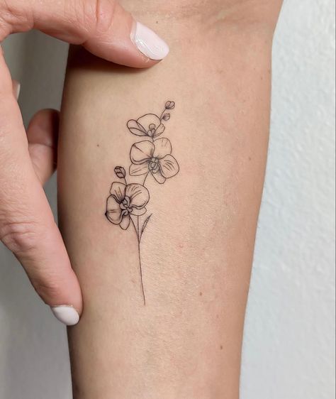 Potted Orchid Tattoo, Minimal Orchid Tattoo, Orchid Minimalist Tattoo, Flower Tatoos Arms, Orchids Tattoo Design, Orchid Tattoo Minimalist, Blue Orchid Tattoo, Fine Line Orchid Tattoo, Orchids Tattoo