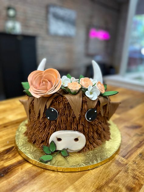 Highland Cow Smash Cake, Cow Desserts, Cow Smash Cake, Highland Cow Cake, Smash Cake First Birthday, Downtown Winter, Cow Cake, Cow Cakes, Custom Desserts