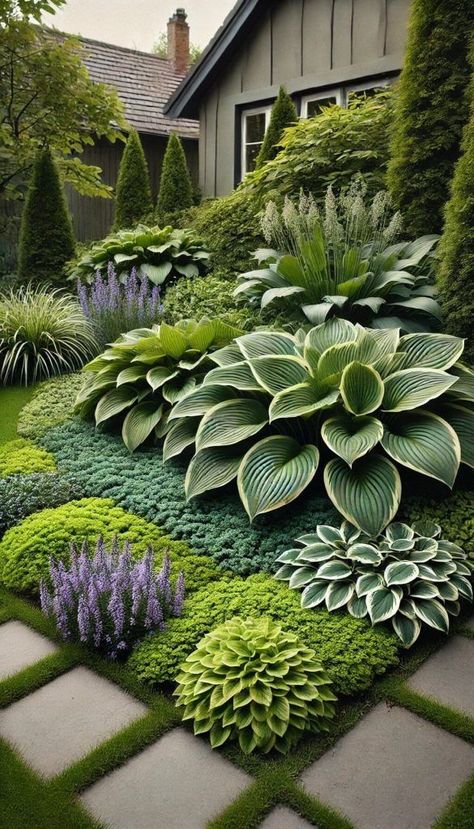 Low Maintenance Front Yard Landscaping Design Garden Ideas, Front Yard Landscaping Hostas, Flowers Around The House, Backyard Landscape Designs, Hostas Landscaping Front Yards, Land Scaping Ideas, Landscaping For Backyard, Hosta Landscaping, Hosta Garden Ideas