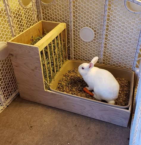 Diy Wooden Hay Feeder Rabbit, Hay Box For Rabbits, Bunny Litter Box Ideas Hay Feeder, Rabbit Box Diy, Rabbit Litter Box Ideas Hay Feeder, Litter Box For Rabbits, Diy Bunny Litter Tray, Diy Rabbit Playground, Diy Rabbit Litter Box And Hay Feeder