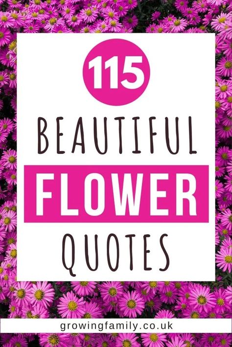 115 beautiful flower quotes & flower captions for instagram - Growing Family Short Flower Quotes, Quotes About Flowers, Flower Captions, Floral Inspirational Quotes, Flower Captions For Instagram, Flower Quotes Inspirational, Beautiful Flower Quotes, Social Media Captions, Quotes Flower