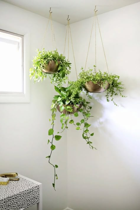 Plants In Pots, Plants Hanging, Diy Hanging Planter, Plant Room, Support Pour Plante, Trendy Plants, Hanging Planters Indoor, Hanging Plants Indoor, Bathroom Plants