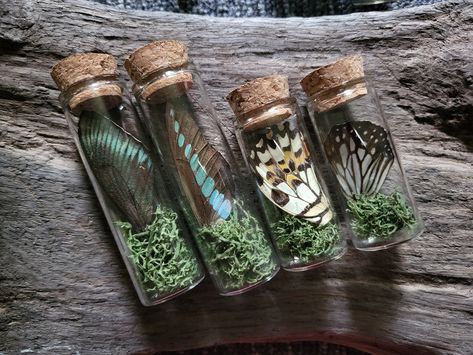 Butterfly Wing Vial, Spell Jar, Real Butterfly Wings In Glass Vial with Cork Top, Curiosity and Oddity, Goblin Core, Vulture Culture Glass Vials Ideas, Curiosity Box, Jar Spells, Crop Protection, Real Butterfly Wings, Spell Jar, Real Butterfly, Vulture Culture, Goblin Core