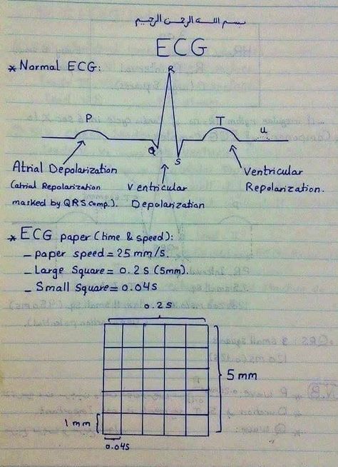 Notes Instagram, Nursing School Studying Cheat Sheets, Med Notes, Emt Study, Medical Assistant Student, Paramedic School, Medical Mnemonics, Nursing School Essential, Studying Medicine