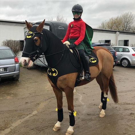 Horse Fancy Dress Costume, Batman Fancy Dress, Horse Halloween Ideas, Horse Fancy Dress, Batman And Robin Costumes, Horse Halloween Costumes, Horse Halloween, Batman Halloween, Horse Costume