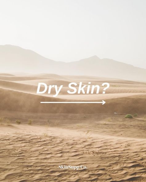 Dive into the ABCs of Skincare: Dry Skin Edition! Swipe through to discover tips and tricks for quenching your skin’s thirst and achieving a radiant, hydrated complexion. 💧✨ #SkinSuppCo #ScienceBackedBeauty #skinsupp SkinCareABCs #DrySkinSolutions Skincare Creatives, Skincare Dry Skin, Skincare Social Media, Skin Facts, Skincare Branding, Cosmetic Creative, Email Marketing Design, Aesthetic Clinic, Instagram Ideas Post