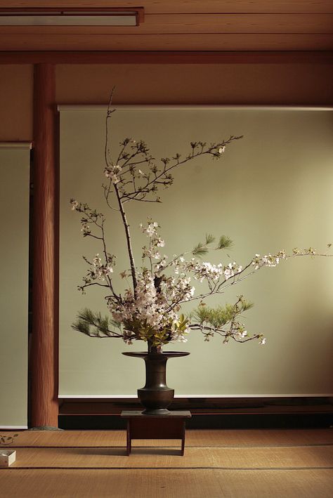 rikka Arreglos Ikebana, Ikebana Sogetsu, Sogetsu Ikebana, Zen Interiors, Ikebana Flower, Ikebana Arrangements, Winter Palace, Ikebana Flower Arrangement, Asian Inspiration