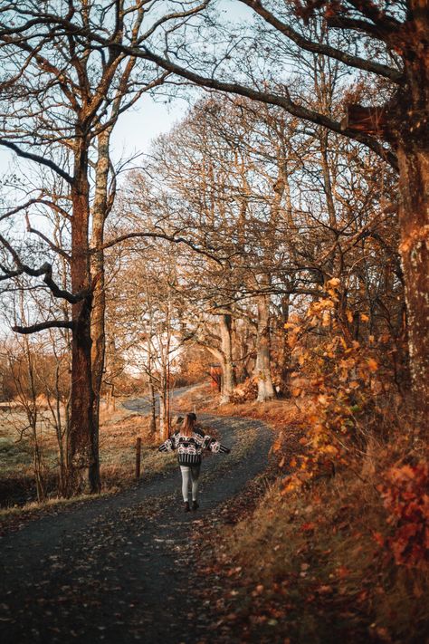 Denmark Autumn, Sweden In November, Autumn In Sweden, Sweden Autumn, Sweden Must See, Sweden Beautiful Places, Sweden Scenery, Sweden Aesthetic, Sweden Nature Landscapes