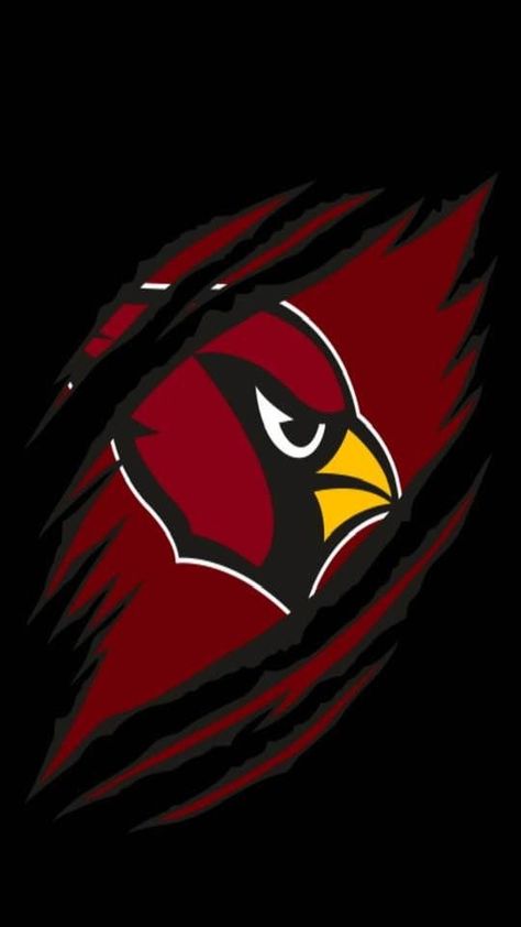 Arizona Cardinals Wallpaper, Cardinals Wallpaper, Az Cardinals, Nfl Arizona Cardinals, Arizona Cardinals, Buckets, Cardinals, Pop Culture, Arizona