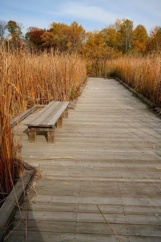 Boardwalk Landscape, Oslo City, Landscape Architecture Diagram, Cool Tree Houses, Book Illustration Art, Social Space, Diagram Architecture, Urban Landscape, Landscape Architecture