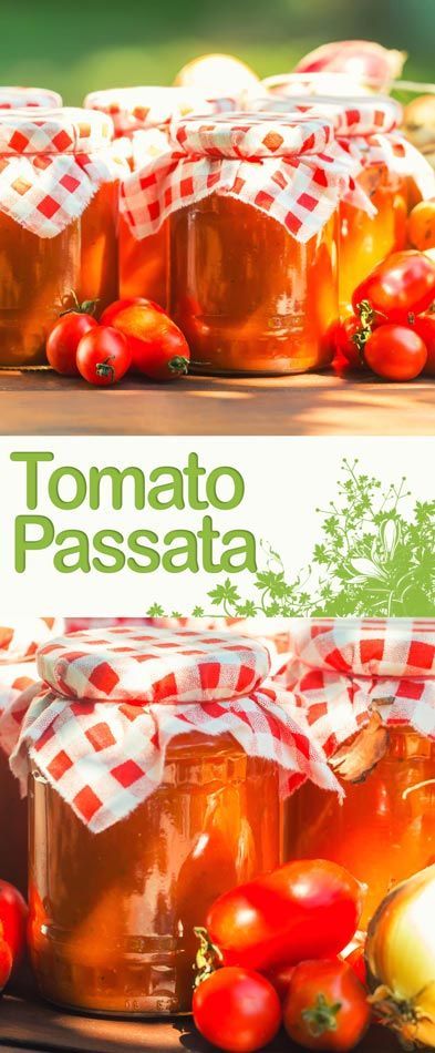 A tomato passata is the perfect way to preserve a glut of tomatoes and makes the perfect base for a host of stews and soups! Tomato Glut Recipes, What To Do With A Glut Of Tomatoes, Homemade Passata Recipe, Tomato Passata Recipe, Passata Recipes, Produce Garden, Italian Sauces, Stews And Soups, Tomato Sauces