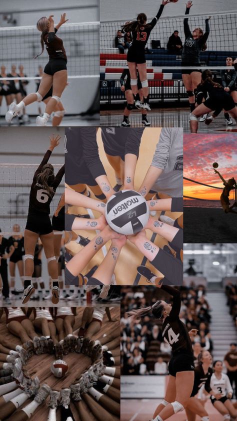 Volleyball Collage Wallpaper, Volleyball Lockscreen, Volleyball Aesthetic Wallpaper, Volleyball Wallpaper Aesthetic, Volleyball Collage, Volleyball Wallpapers, Inspirational Volleyball Quotes, Volleyball Images, Volleyball Backgrounds