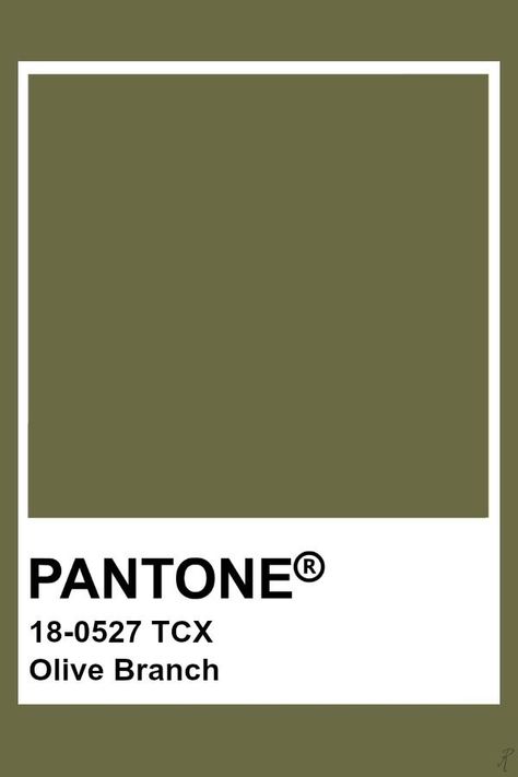 Pantone Tcx, Pantone Colours, Pantone Palette, Pantone Colour Palettes, Pantone Colors, Olive Branch, Colour Palettes, Pantone Color, The Search