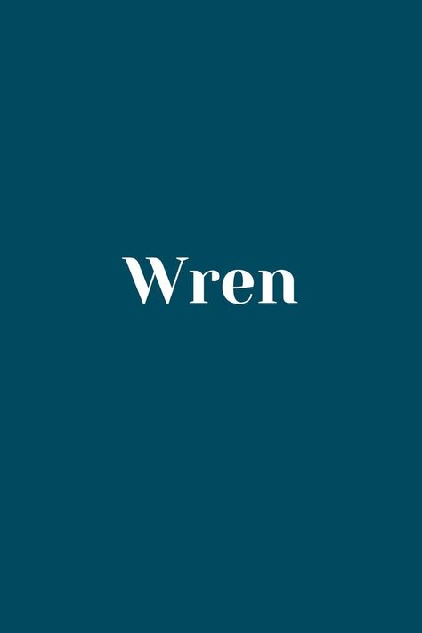 Wren - Baby Name - Names That Start With W Wren Name, Dictionary Words, Baby Name, Wren, Baby Names