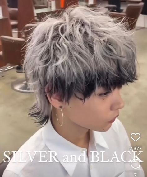 White Streak Hair Men, Dyed White Hair Men, Ice Blue Hair Men, Silver Hair With Black Roots, White Black Hair Men, Short Blonde Hair With Black Tips, Guys With Silver Hair, White Highlights On Black Hair Men, Silver Hair With Black Tips