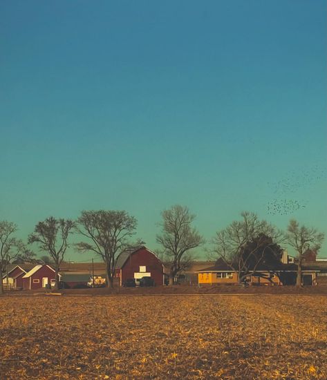 The Views I Came Back For 🌾 • • All Photos Taken On iPhone 15 • • #colorado #easterncolorado #northeasterncolorado #theplains #thegreatplains #liminal #liminalspaces #ruralamerica #americangothic #ruralgothic #americanrural #smalltown #smalltownusa #amberwaves #farmland #farmcore #photography Farmland Photography, Small Towns Usa, American Gothic, Small Towns, All Photos, Iphone 15, Colorado, Iphone, Photography