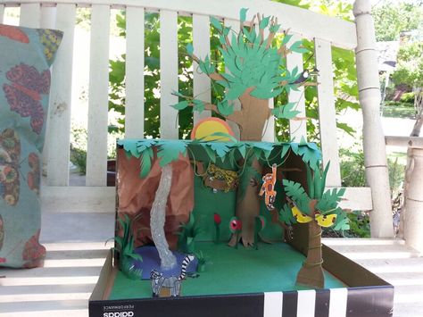 Rainforest Diorama, Rainforest Crafts, Biomes Project, Rainforest Project, Geography Project, Habitats Projects, Rainforest Habitat, My Father's World, Diy Projects For Kids