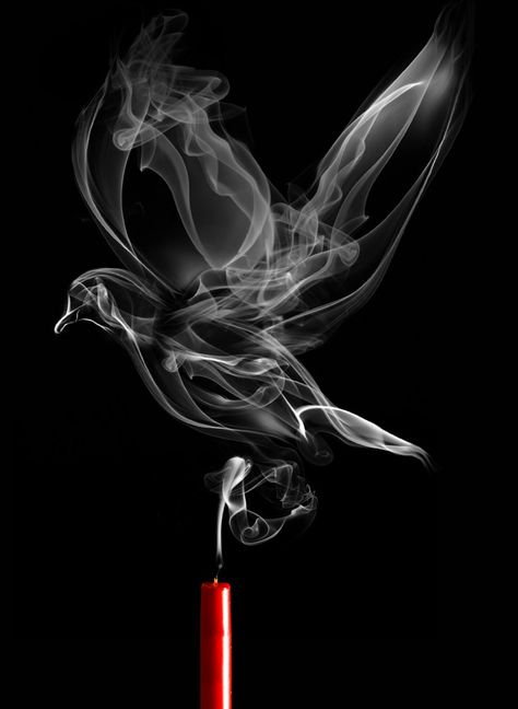 unusual and unique artworks made of smoke bird The Night Circus, Image Moto, Night Circus, Fire Art, Creative Eye, Foto Art, Bottle Art, Art Background, Black Background